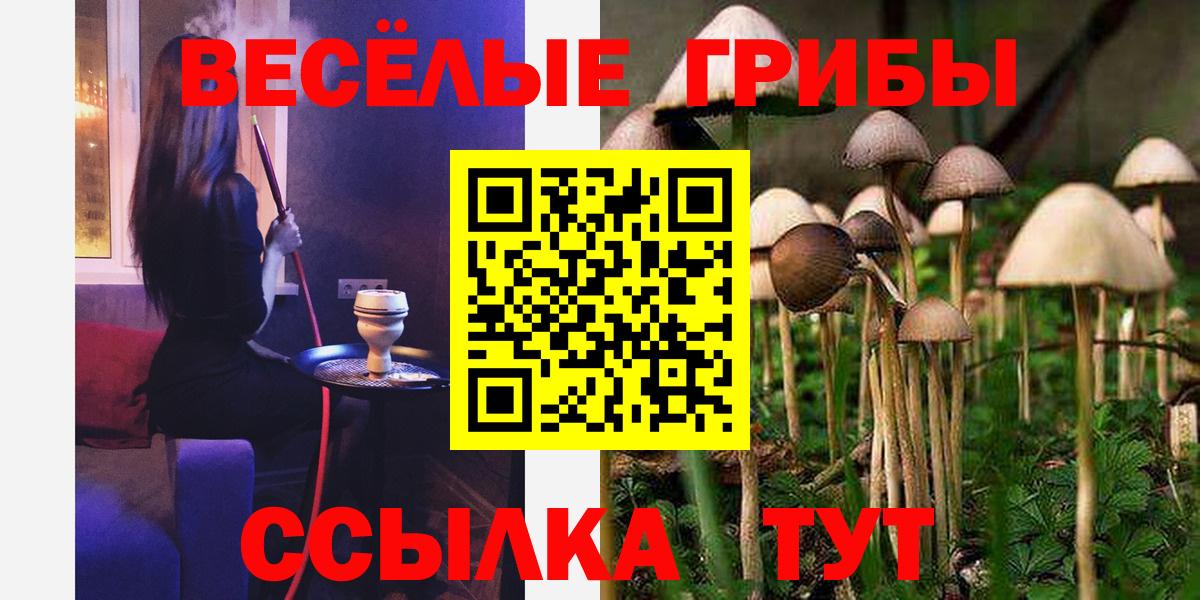 купить наркотики сайты  Вход с VPN  Уварово  Псилоцибиновые грибы GOLDEN TEACHER 